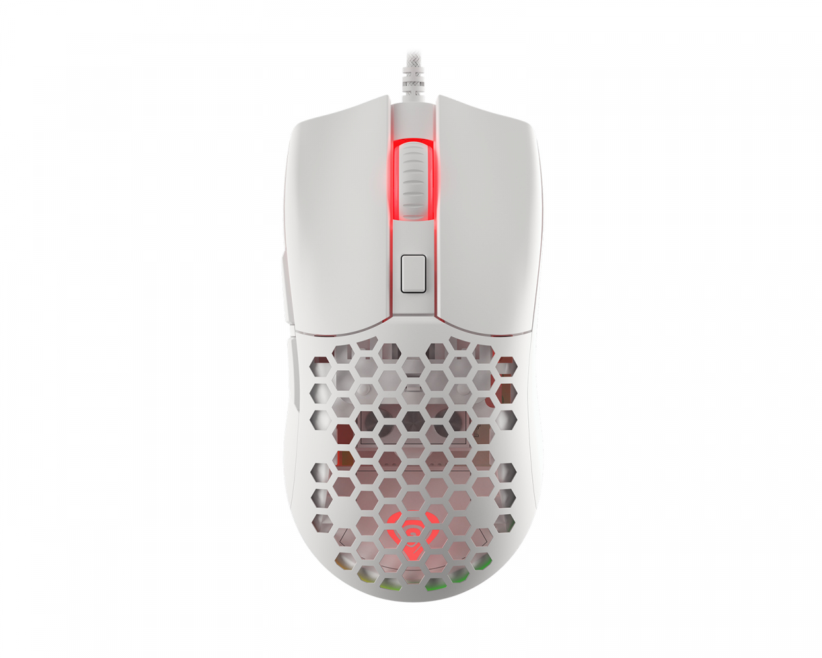 Buy Logitech PRO X Superlight 2 Wireless Gaming Mouse (White) - Computech  Store