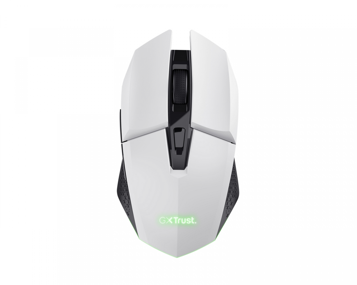 ZOWIE by BenQ FK1-B V2 White Special Edition - Gaming Mouse