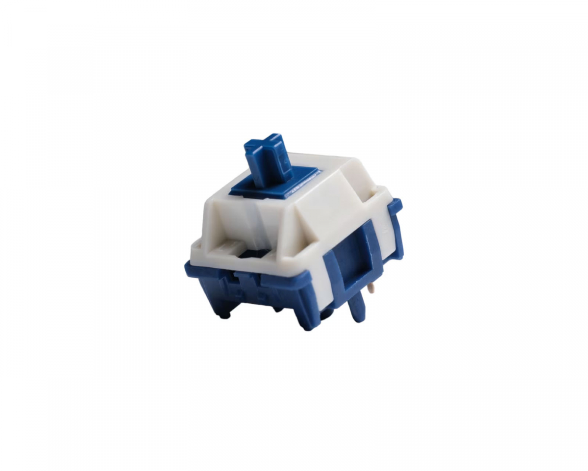 31684.jpg?m=1723796300