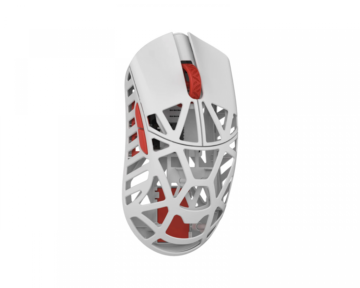 32526.jpg?m=1729006189