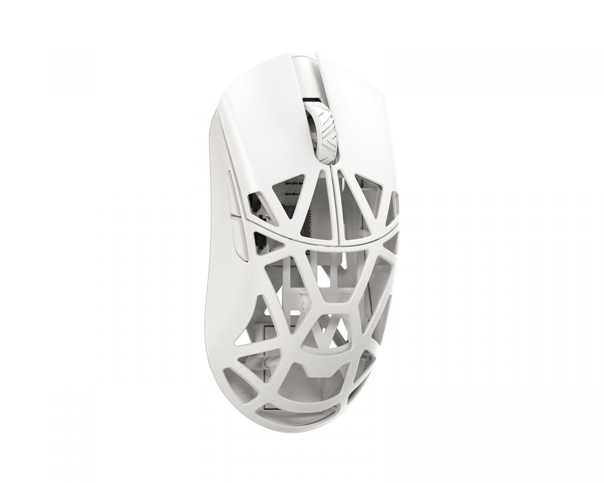 34640.jpg?m=1743428993