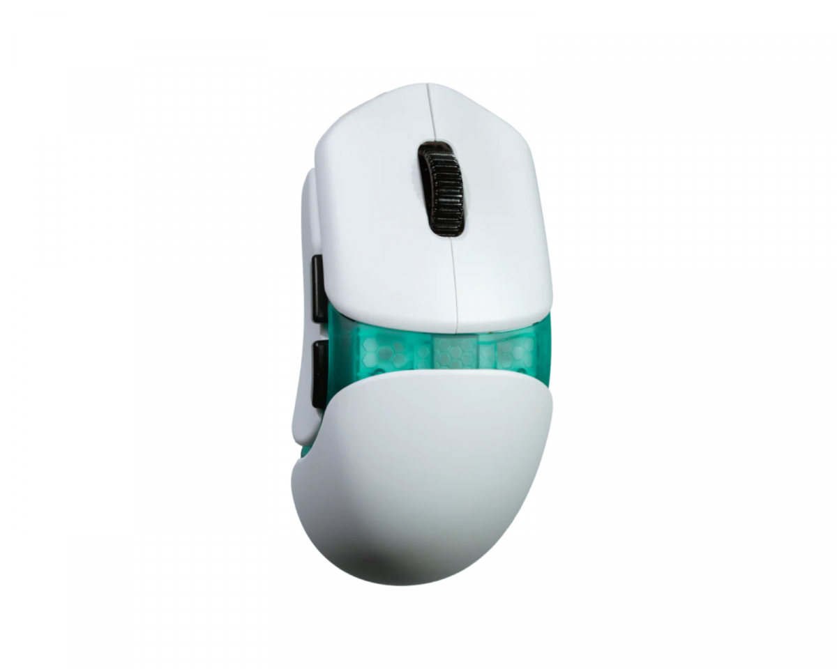 S1490.jpg?m=1765274362