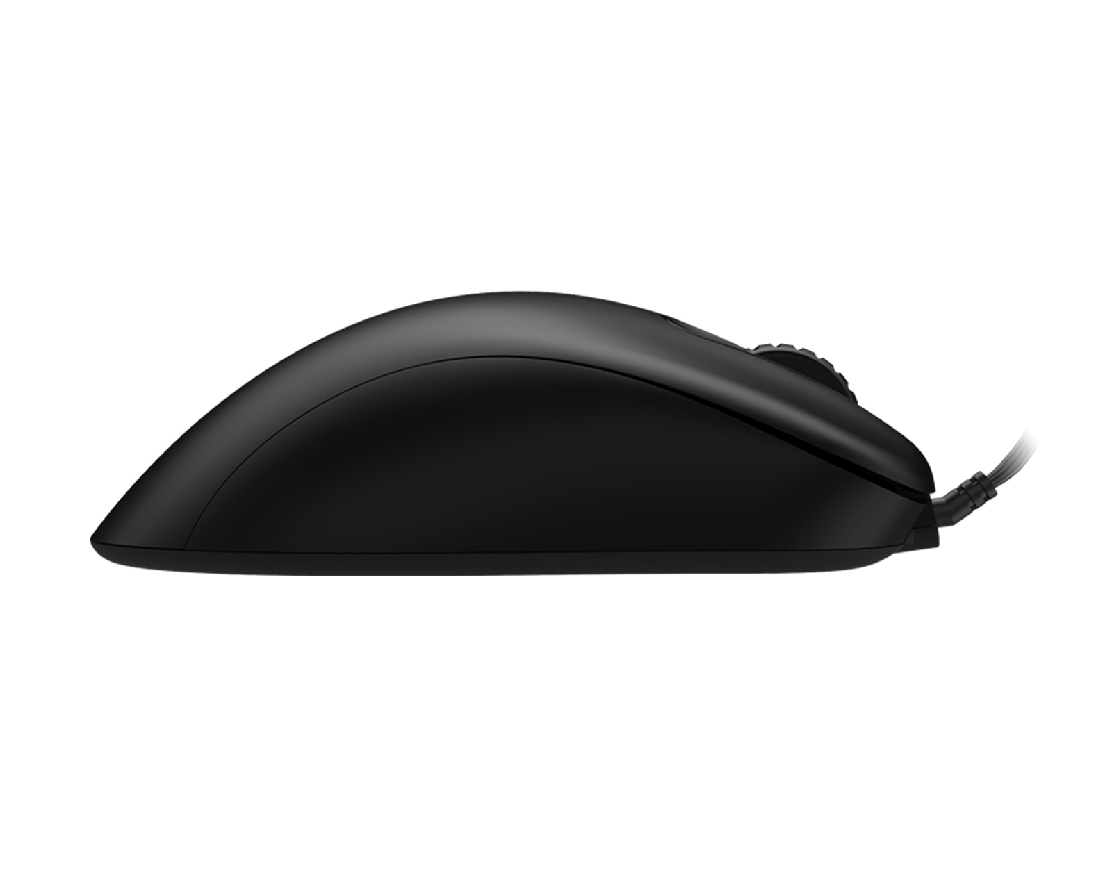 ZOWIE by BenQ EC1-C Gaming Mouse - us.MaxGaming.com