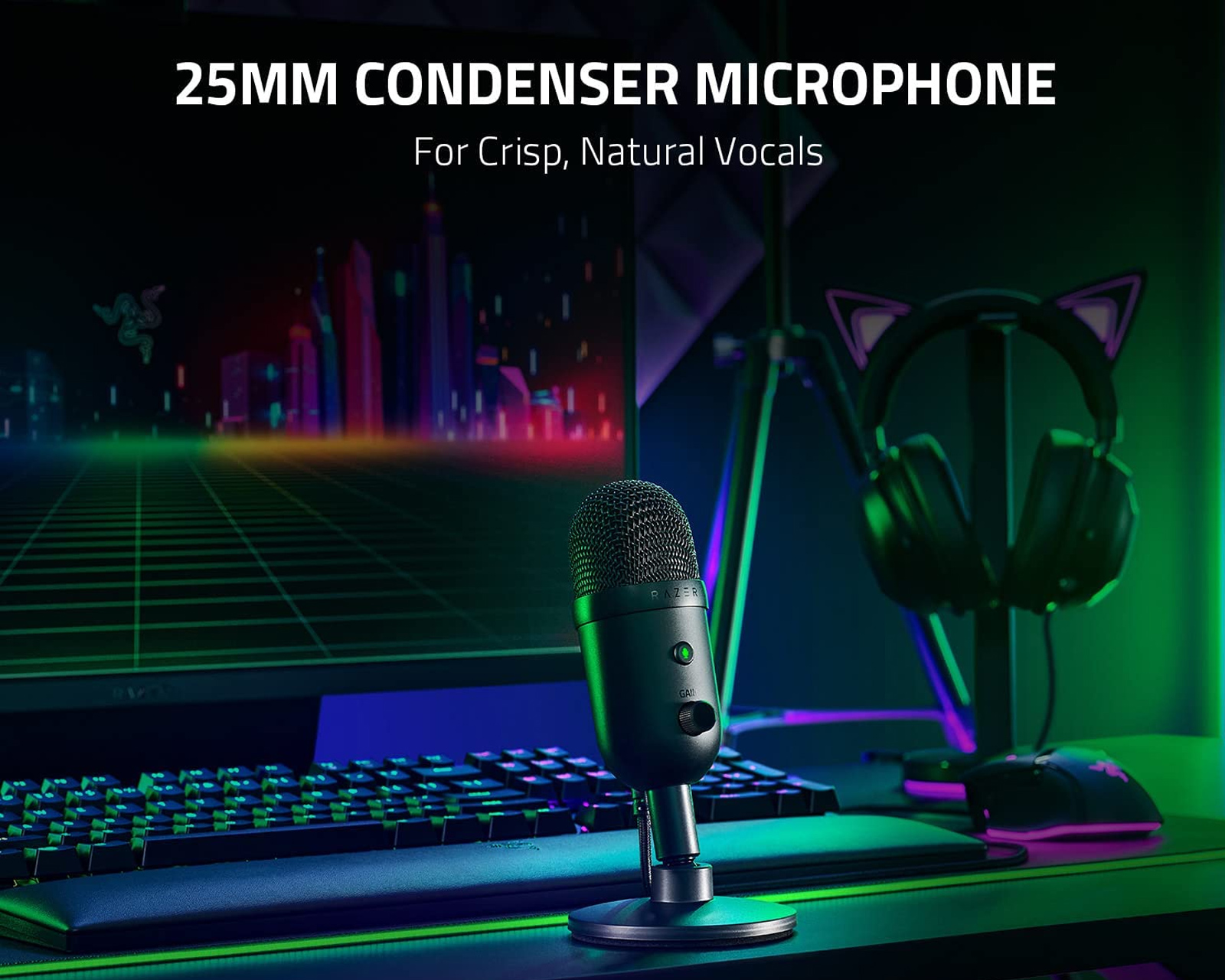 Razer Seiren V2 X Microphone - Black - us.MaxGaming.com