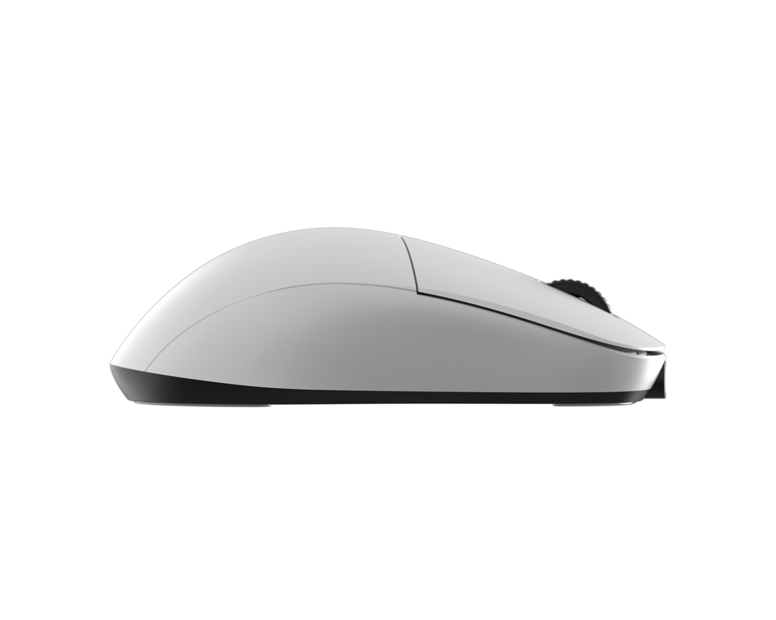 Endgame Gear XM2w Wireless Gaming Mouse - White - us.MaxGaming.com