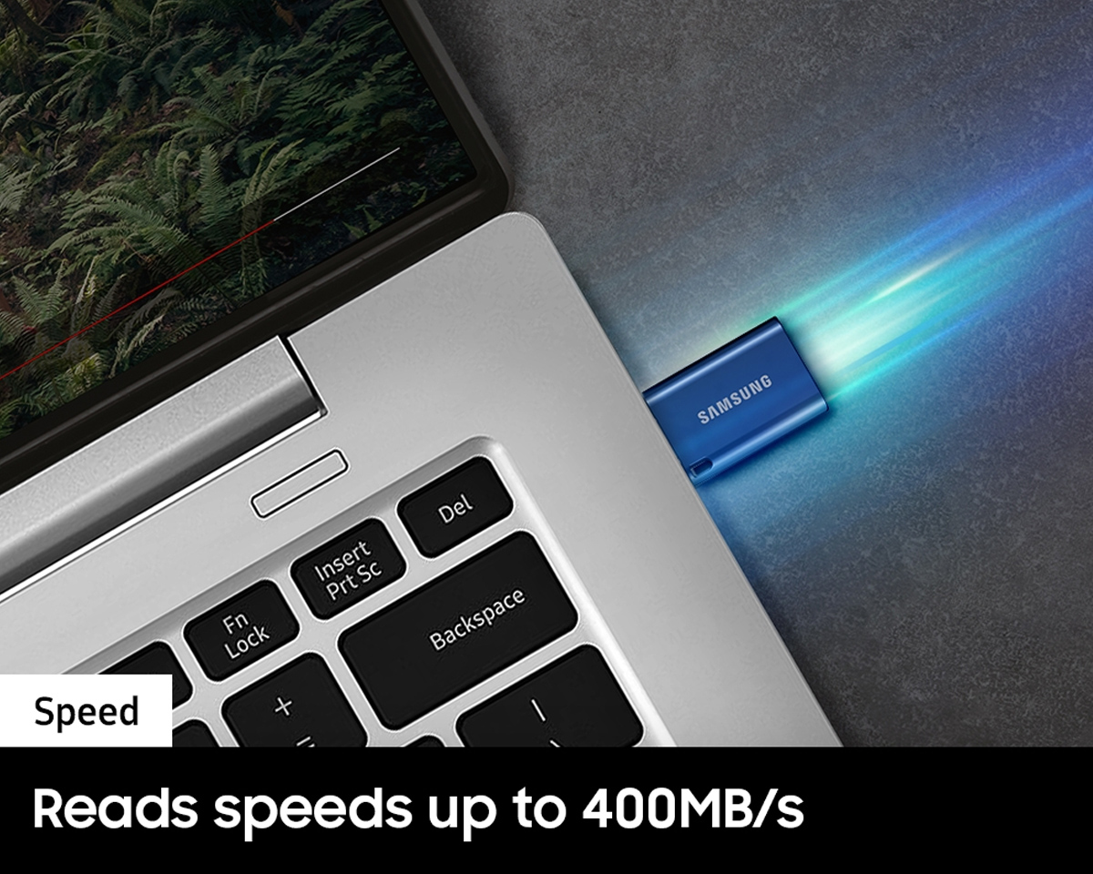 Samsung USB Type-C Flash Drive 256GB - Blue - us.MaxGaming.com