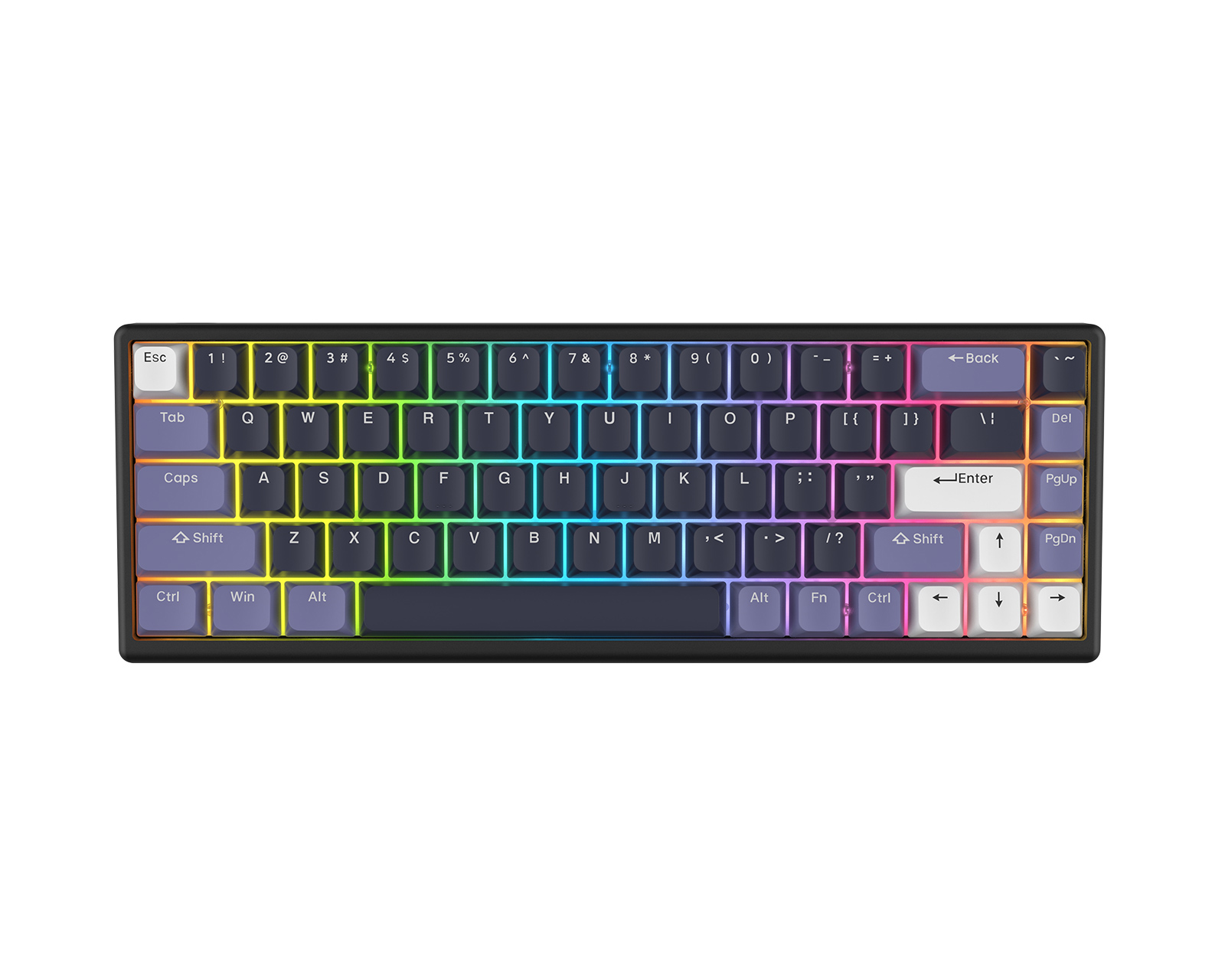 Arbiter Studio Polar 65 - Magnetic Gaming Keyboard - Midnight Lilac [Hall  Effect]