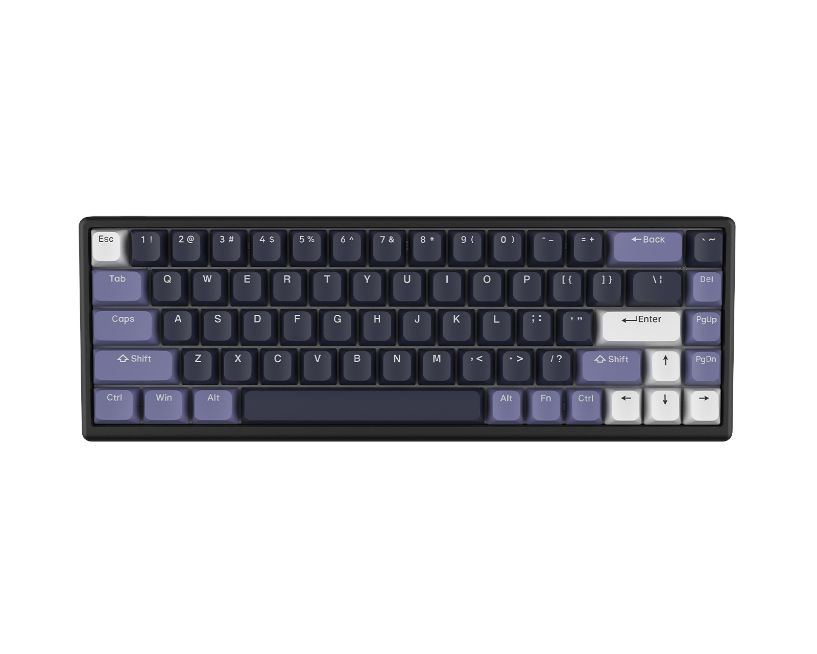 Arbiter Studio Polar 65 - Magnetic Gaming Keyboard - Midnight Lilac [Hall  Effect]