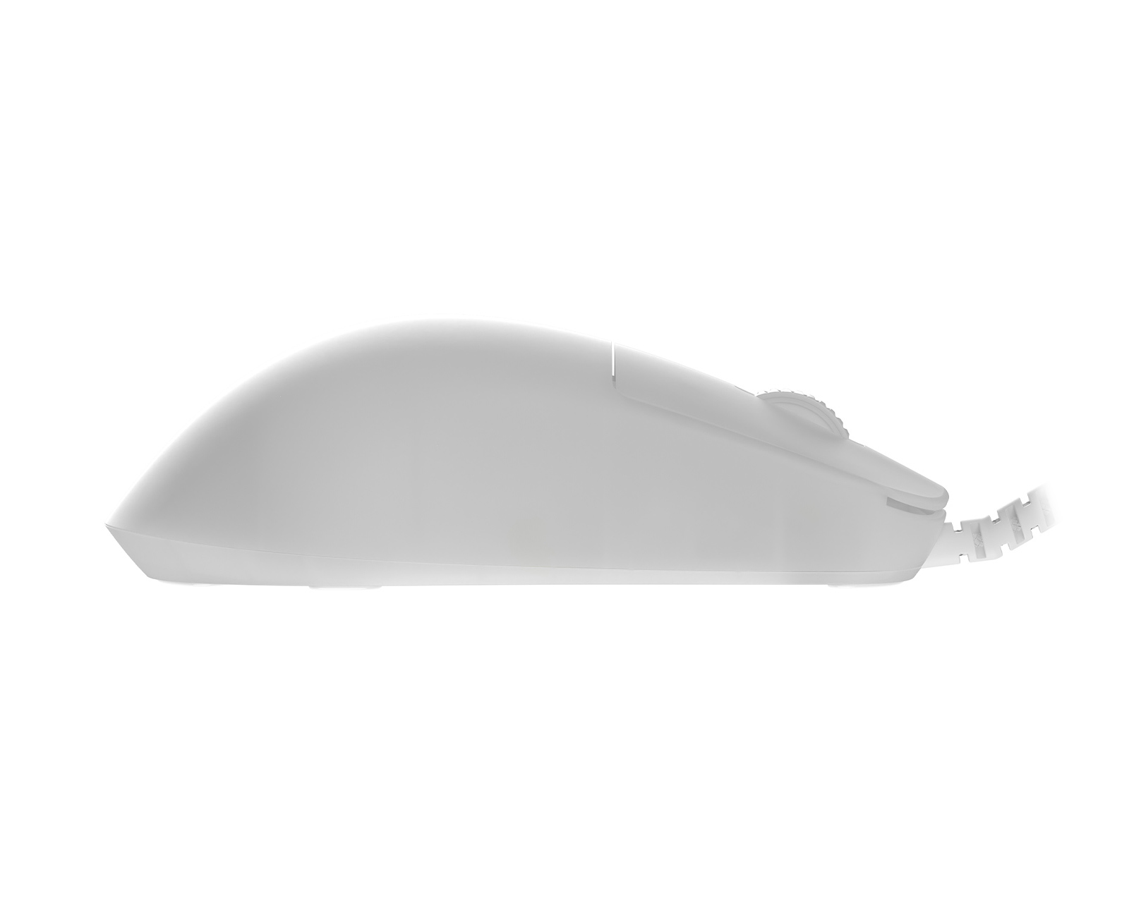 Endgame Gear OP1 RGB Wired Gaming Mouse - White Frost - us