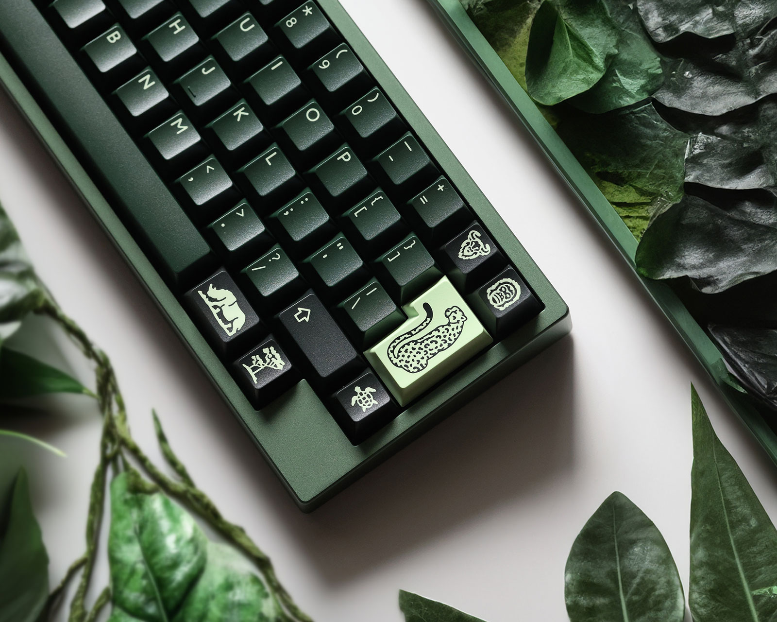 KBDfans PBTfans Untamed - Base kit - us.MaxGaming.com