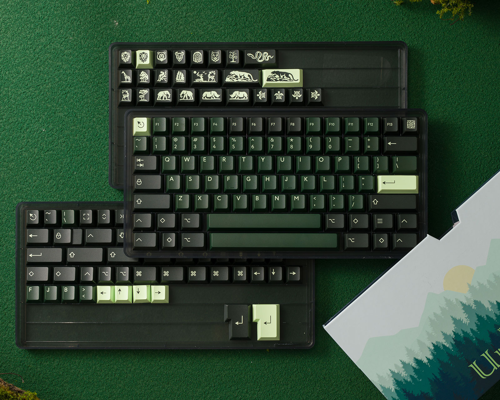 KBDfans PBTfans Untamed - Base kit - us.MaxGaming.com