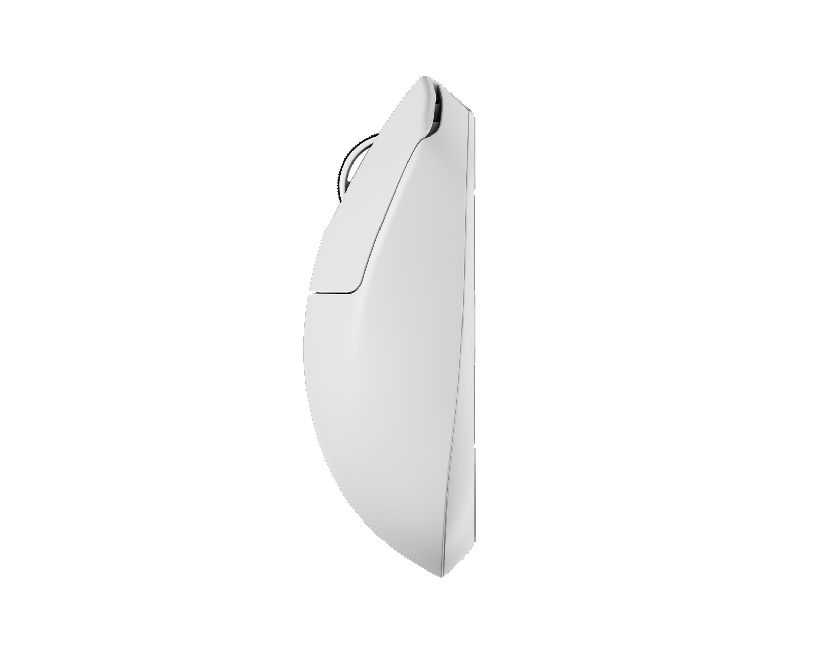 pulsar X3 size1 ミニ　ホワイト Pulsar X3 Size 1 - White - us.MaxGaming.com