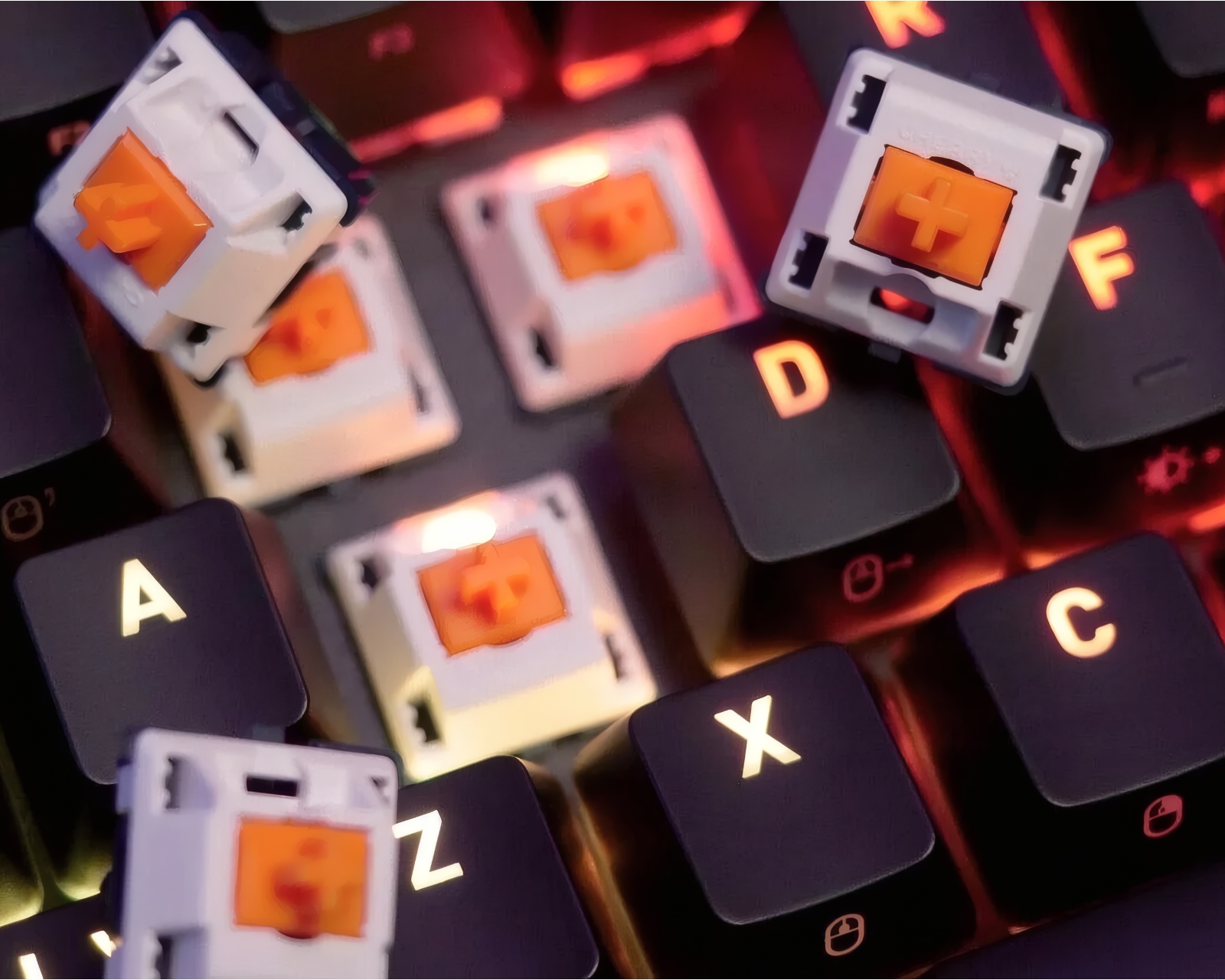 Cherry MX Falcon Tactile Switch (36-pack) - us.MaxGaming.com