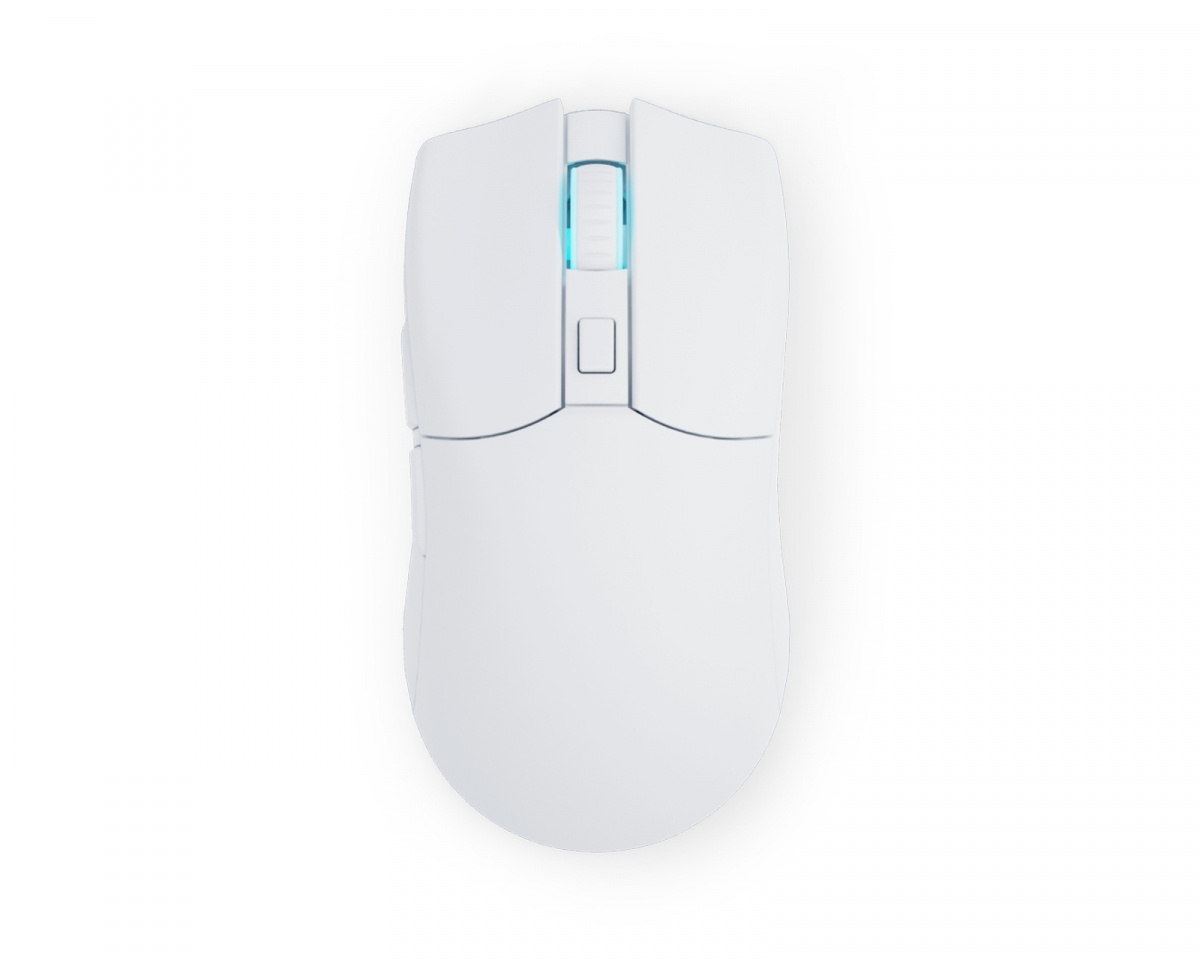 symm mouse