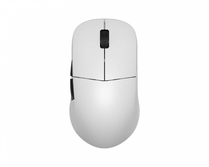 Endgame Gear XM2we Mouse Review