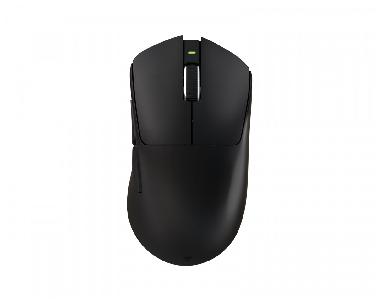 teevolution terra pro ゲーミングマウス ドングル付 Rabbit0-Shop / Teevolution Terra Pro White ワイヤレス エルゴ