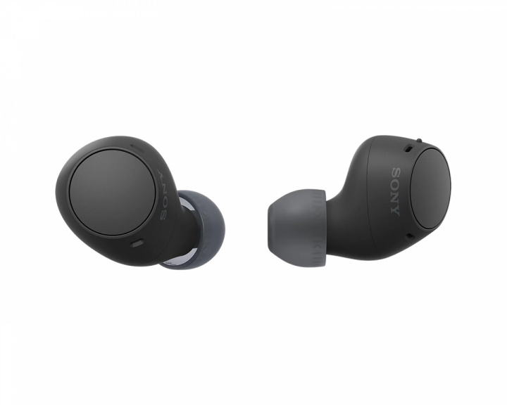  WF-C510 Wireless In-Ear Headphones - Black