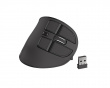 Euphonie Vertical Wireless Mouse