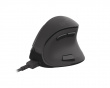 Euphonie Vertical Wireless Mouse