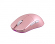 Atlantis Wireless Superlight Gaming Mouse - LeonardoDaMouse Limited Edition - Mini