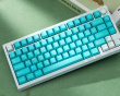 WS PBT Purquoise