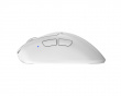 Xlite v4 Medium Wireless Gaming Mouse - White