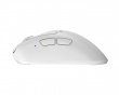 Xlite v4 Mini Wireless Gaming Mouse - White