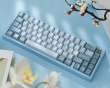 Zoom65 V3 No Tail Light Barebone Edition - Sky Blue