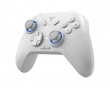 Direwolf 2 HE Wireless Controller - Grey