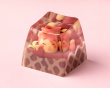 Animal Ice Cream - Chocolate