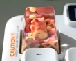 Animal Ice Cream - Chocolate