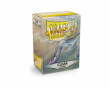 Dragon Shield Card Sleeves (100 ct) - Classic Clear