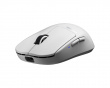 X2 CRAZYLIGHT Medium Wireless Gaming Mouse - Uyuni White X2 CRAZYLIGHT Medium Wireless Gaming Mouse - Uyuni White