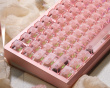 Slice75 HE Gaming Keyboard ANSI - Pink