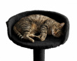 Table-Mounted Cat Bed Large - Black
