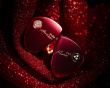 Aria 2 IEM Headphones - Red