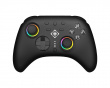 Wireless Switch 2 Controller with C-button - Black