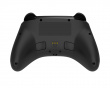 Wireless Switch 2 Controller with C-button - Black