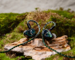 Mangird Tea Pro SE IEM Headphones - Limited Edition