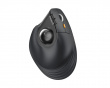 EM05 NL Vertical Wireless Trackball Mouse - Black