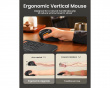 EM11 NL Ergonomic Vertical Mouse - White
