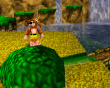 Banjo-Kazooie Double Pack Cartridge 