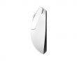 Rapid Sync 8K Dongle + Terra Pro Wireless Gaming Mouse - White